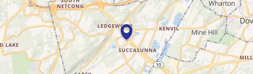 295 State Rte 10th E