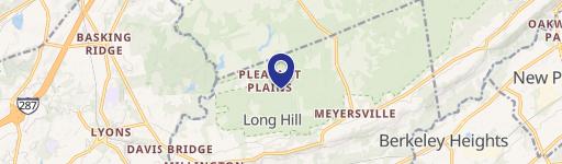 557 Pleasant Plns Rd