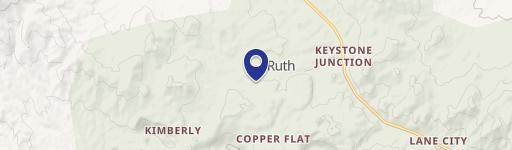 Ruth, NV 89319