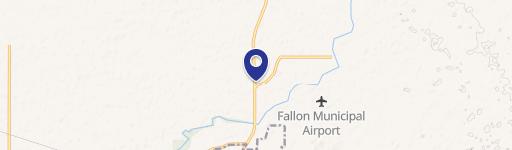Fallon, NV 89406