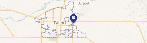 Fallon, NV 89407