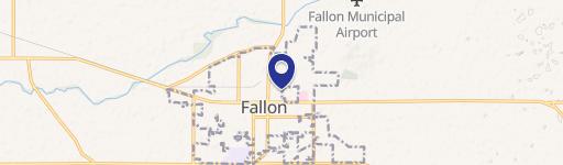 Fallon, NV 89406