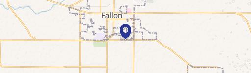 Fallon, NV 89406