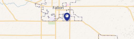 Fallon, NV 89406