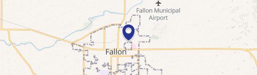 Fallon, NV 89406