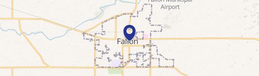 Fallon, NV 89407