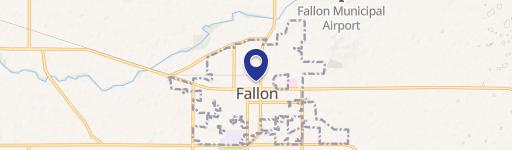 Fallon, NV 89406