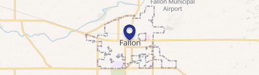 Fallon, NV 89406