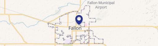 Fallon, NV 89406