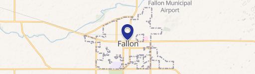 Fallon, NV 89406