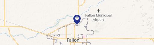 Fallon, NV 89406