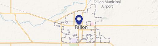 Fallon, NV 89406