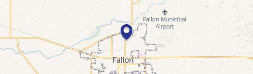 Fallon, NV 89406