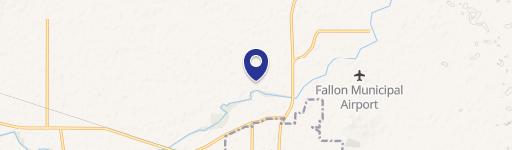 Fallon, NV 89406