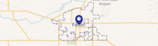 Fallon, NV 89406