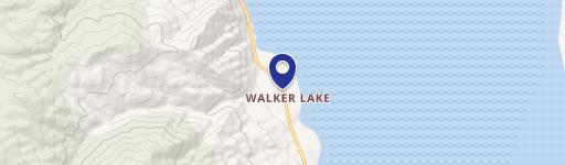 330 Golden Willow Dr