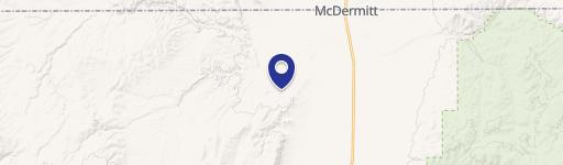 Mcdermitt, NV 89421