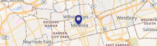 157-161 Jericho Tpke