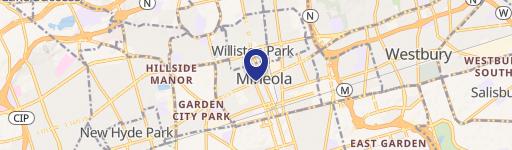 259-261 Mineola Blvd