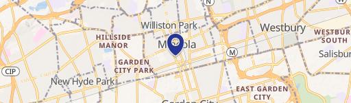 167-169 Mineola Blvd