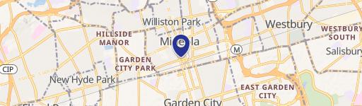 120 Mineola Blvd