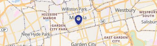 98 Mineola Blvd, Unit 104