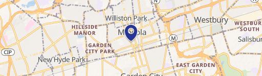 163 Mineola Blvd, Unit 155