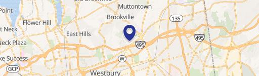 100 Jericho Quadrangle