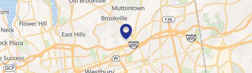 300 Jericho Quadrangle