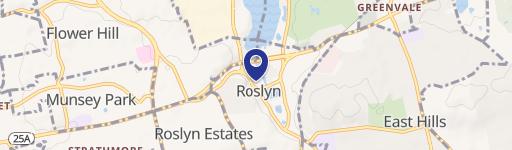 1295 Old Northern Blvd