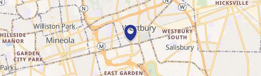 533 Old Country Rd, Unit 539