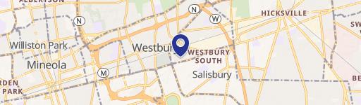 595 Old Country Rd, Unit 625