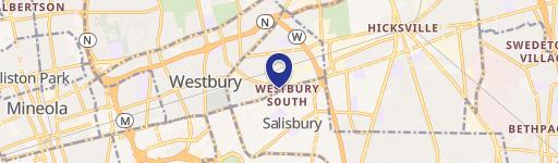 890 Old Country Rd, Unit 900