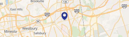 589 Old Country Rd, Unit 613