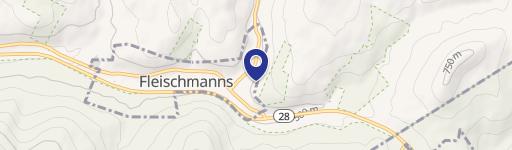 Fleischmanns, NY 12430
