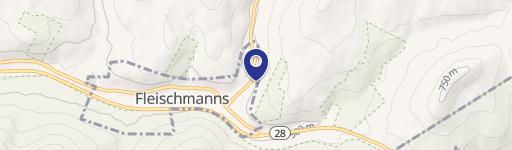 Fleischmanns, NY 12430