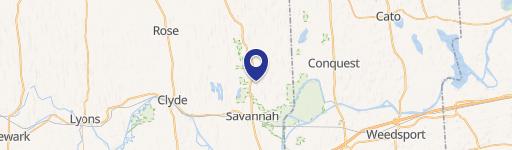Savannah, NY 13146