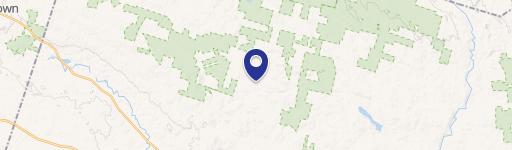 Thomson Cors Florence