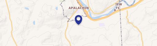 Apalachin, NY 13732