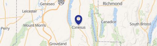 Conesus, NY 14435