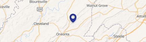 Oneonta, AL 35121