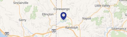 17293 Congdon Ny 100