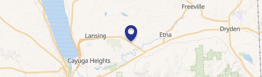 1771 Hanshaw Rd, Unit 1779