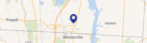 937 Polaris Woods Blvd