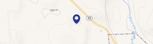 10547 Manchester SW Ave