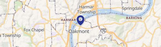 856 Allegheny Riv Blvd