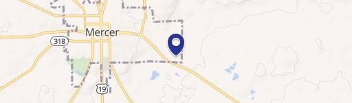 787 Mercer Grv City Rd