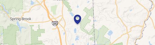 WL7-842 Gray Squirrel Ct