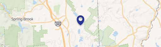 WL7-856 Gray Squirrel Ct