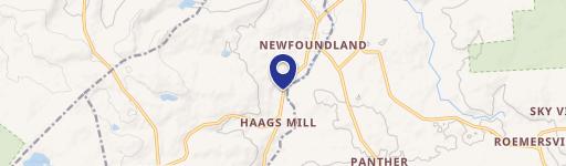 Newfoundland, PA 18445